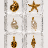 Charm Shell
