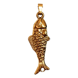 Charm Pisces