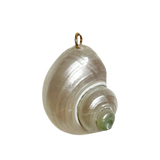 Charm Shell