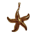Charm Starfish